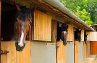 free Hatton Of Fintray stable construction quotes